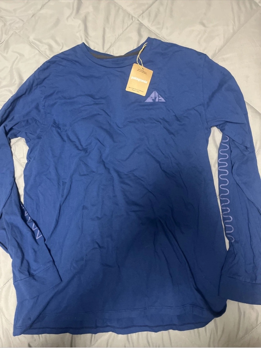 Patagonia Long-Sleeve Crew in Royal Blue with Sleeve Print